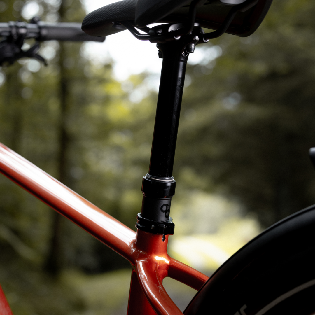 XXL E-Bike - Zweirad Heilenmann GmbH