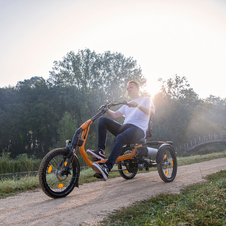 VanRaamnoppenbandEasyRiderdriewieler